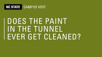 Does The Paint in The Free Expression Tunnel Ever Get Cleaned?