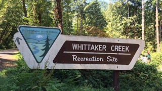 Explore Oregon Recreation: Whittaker Creek Recreation Site