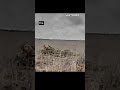 Russian Soldier S Last Sleep Was Interrupted By Ukrainian Drone Warinukraine 