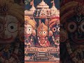 Jai Jagannath #jaijagannathji #chakanain #trendingsongs #devotionalsong #thewisenari