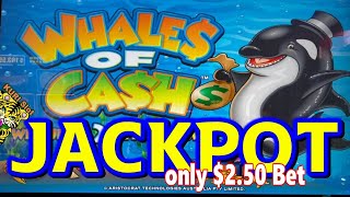 ★JACKPOT !! ORIGINAL SLOTS ARE THE BEST !★WHALES OF CASH Slot ☆Hand pay with Just $2.50 bet★栗スロ screenshot 5