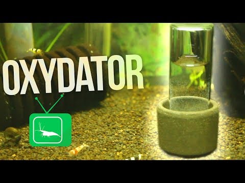 DER OXYDATOR - ERKLÄRUNG, FUNKTION und MEHR | GarnelenTv