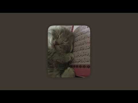 Fiya Hubbun 1 Hour Reverb Vocals Only