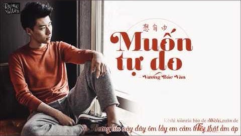 [RUIWENVN][Vietsub + Pinyin] Muốn tự do - Vương Bác Văn | 想自由 - 王博文