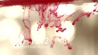 Pilz - 1312 Prod. Rypzylon