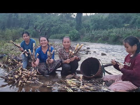 Video: Khoom Noj Qab Zib 