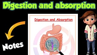 | Digestion and absorption |Best notes |Class 11| Biology | Ch-16 | @Edustudy_point