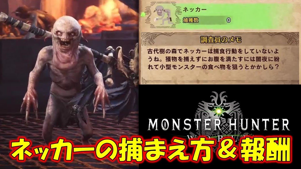 新環境生物 ネッカー の捕まえ方 報酬 モンスターハンターワールド Mhw Youtube