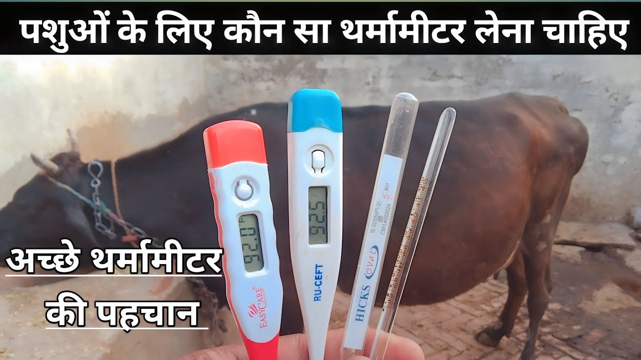 best thermometer Animalb|| पशुओं के लिए कौन सा थर्मामीटर अच्छा होता है || best thermometer