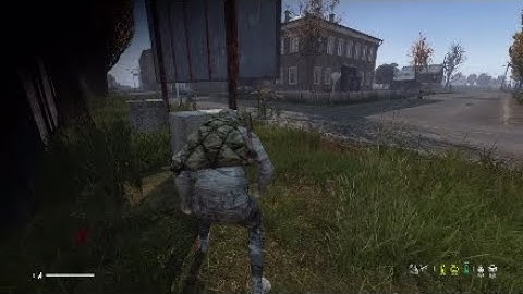 DayZ - Strange Encounter