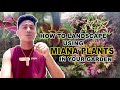 HOW TO LANDSCAPE & RE-ARRANGED USING MIANA/MAYANA / COLEUS ...