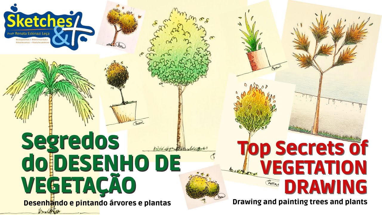 Segredos do DESENHO DE VEGETAÇÃO - Como desenhar árvores #desenho  #paisagismo #vegetação 