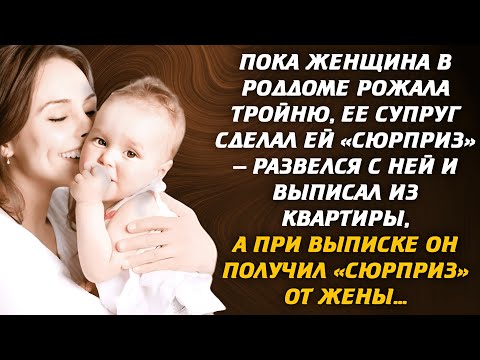 Пока женщина в роддоме ждала тройню, ее супруг сделал ей «сюрприз» – развелся с ней и выписал из