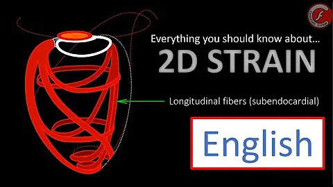Everything you should know about "myocardial strain"