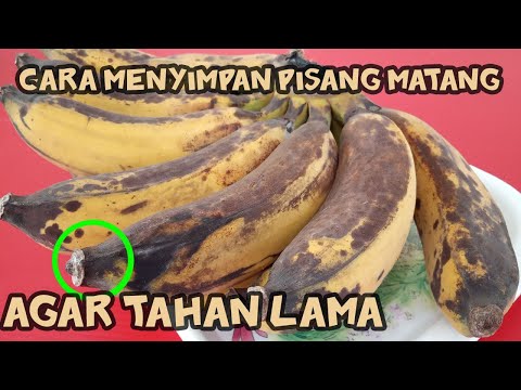 Cara menyimpan pisang matang agar tahan lama