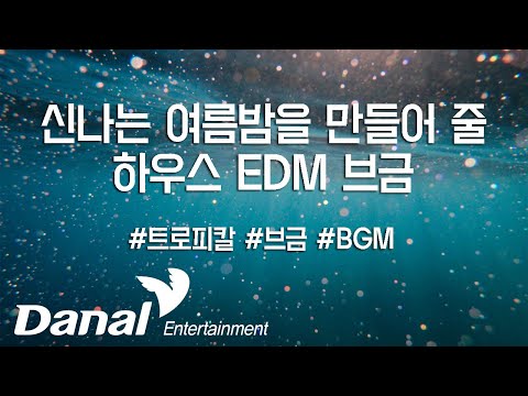 신나는 여름밤을 만들어 줄 하우스 EDM 브금(BGM)_도시/여름/힙한/가벼운/칠아웃BGM