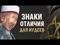Унижает ли ислам другие религии? | Шейх Рамадан аль-Буты