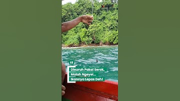 Disuruh Pakai Serok, Malah Ngeyel... Ikannya Lepas Deh! #shortsmancing #mancinglautpinggiran