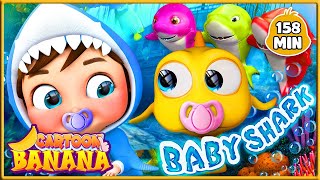 Малыш-Морское Существо 🐬🦈| Развивающие Цвета Для Детей | Banana Preschool На Русском