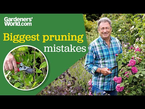 Avoid these pruning mistakes! Alan's top pruning advice