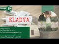 (ELADVA) Miskolc központ Zamenhof utcában 3.em, 2 szobás erkélyes lakás - Immo1 Ingatlan Miskolc