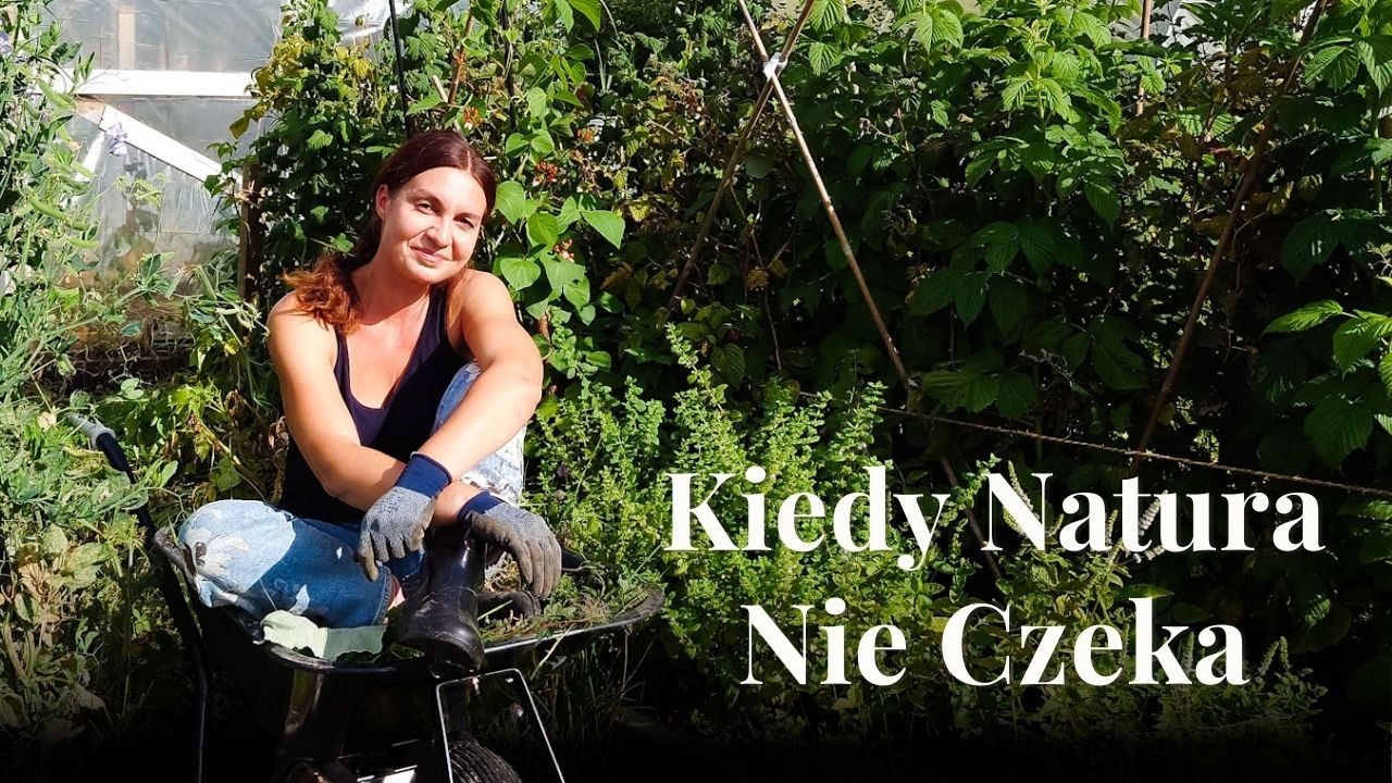 Powrót do drugiego domu | Irlandia - sierpniowy restart ogrodu i kąpiel leśna