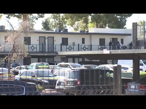 VIDEO: Mom killed her 2 children with meat cleaver, Arizona police say