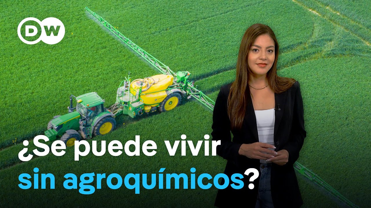 Qué técnicas usan ya los agricultores para ser menos agresivos con la tierra en América Latina