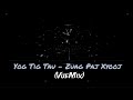 Yog Tig Tau - Zuag Paj Xyooj (VueMix_Remake)