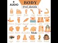 Body Vocabulary