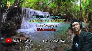 AHMAD YA HABIBI | ( by Haddad alwi ) | instrumen | Sholawat | plus lirik | cover korg pa3x