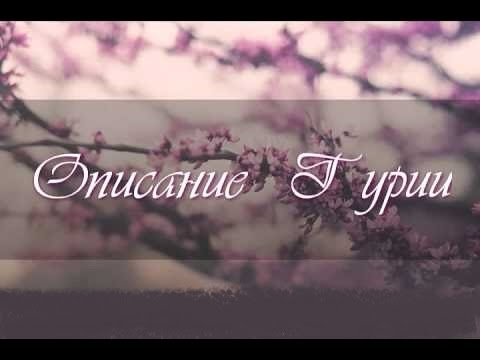 Райские Гурии, и их Описание | Шейх Умар ас-Саадан