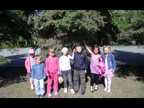 Time To Travel Travel Tips Information M/MoTAynq/embed