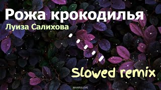 Луиза Салихова - Рожа крокодилья (slowed remix)