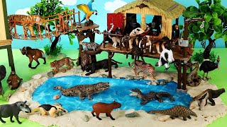 Fun Dioramas and Learn Animal Names with Wild Animal Figurines