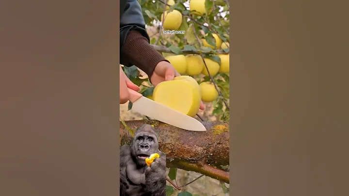 looks delicious | ASMR #asmr #asmrsounds #asmrvideo #shorts