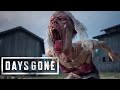 DAYS GONE - Жизнь после. Вспоминает венчания и выносим лагеря мародеров. Прохождение #14