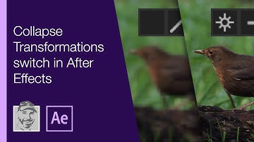 Collapse Transformations switch in After Effects