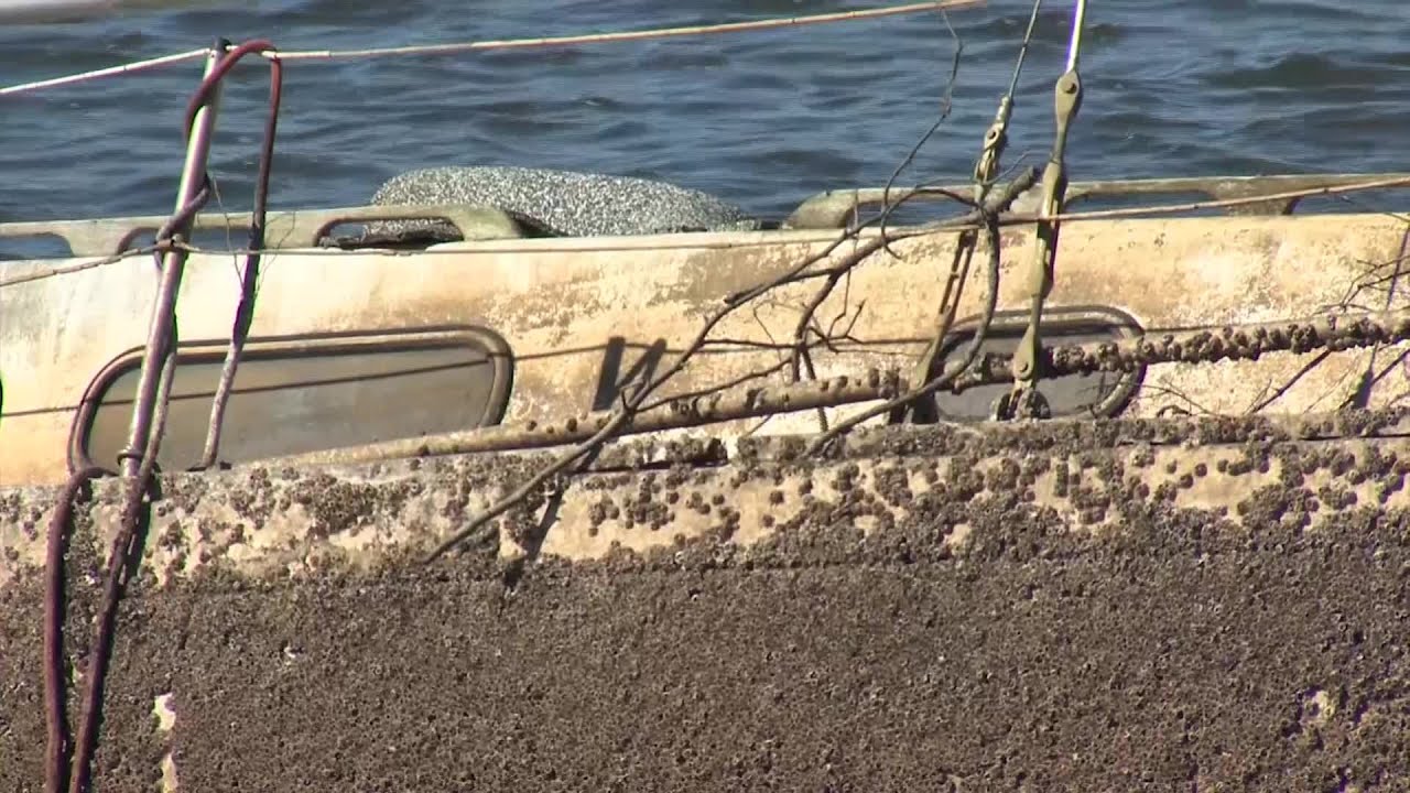 UPDATE: Abandoned Bon Secour sailboat high on list of boats for removal 