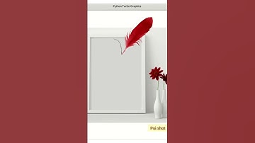 Easy girl outline using python turtle #shorts #paishot #homedecor