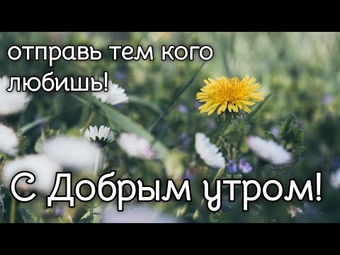 С Добрым Утром музыкальная открытка | отправьте тем кто дорог | стих