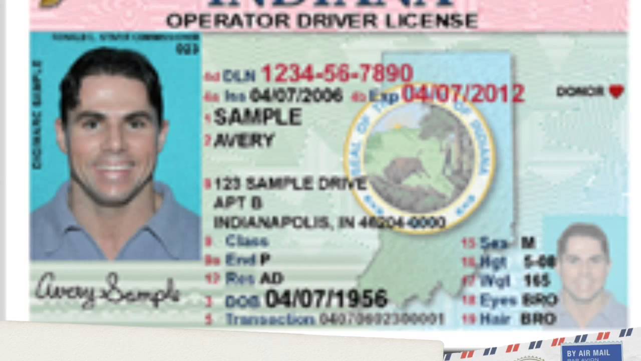 T license. Indiana Driver License. India Driver License. Indiana Driver License back.