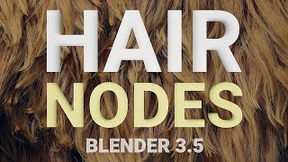 Introducing: Hair Assets in Blender 3.5!