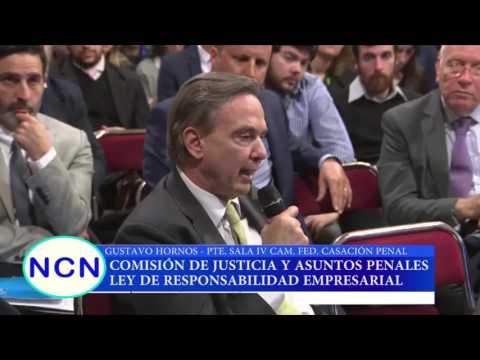 Gustavo Hornos - Intervenciones de Pichetto y Urtubey - Comisión de Justicia y Asuntos Penales