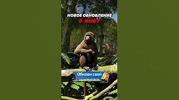 Обезьяна в раст/rust #COBALTLAB — самый щедрый сайт с кейсами #rust #раст #rustclips #rustshorts