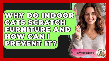 Why Do Indoor Cats Scratch Furniture And How Can I Prevent It? - Happy Cat Handbook