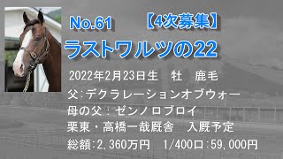 募集No.61_ラストワルツの22 （父：デクラレーションオブウォー）