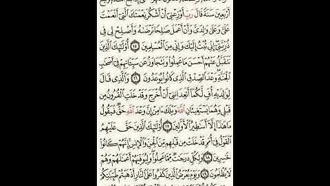 سورة الأحقاف الصحيفة رقم 504 بصوت المقرئ فضيلة الشيخ د.أحمد عبد الرحمن الخجا الدمشقي الشافعي 🌸 