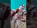 Horse girl tiktok whatsappstatus viral shorts