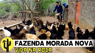 [VIDA NA ROÇA] FAZENDA MORADA NOVA, Neste vídeo: Edglei começa Mostrar a LIDA da Fazenda, Parte 01